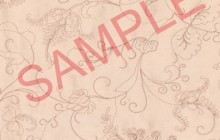 Folders2